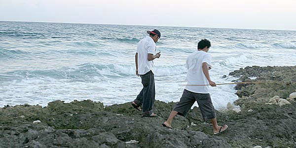 Coral Hunting